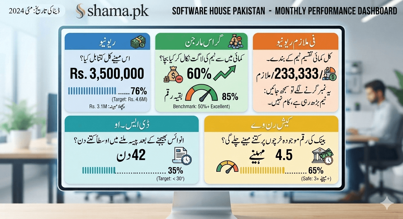 سافٹ ویئر ہاؤس کا ایک صفحے پر مشتمل ماہانہ مالیاتی کے پی آئی ڈیش بورڈ۔