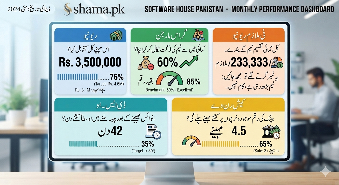 سافٹ ویئر ہاؤس کا ایک صفحے پر مشتمل ماہانہ مالیاتی کے پی آئی ڈیش بورڈ۔